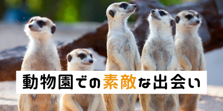 動物園での素敵な出会い